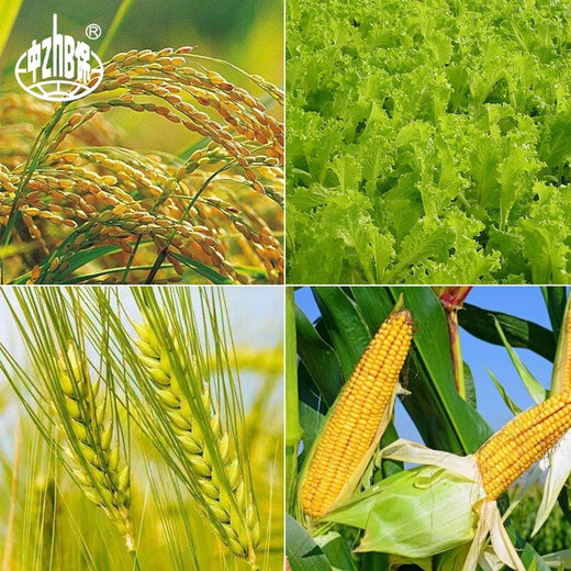 YD-120 Yunda 120 brassinolide 0.004 growth regulator 10ml