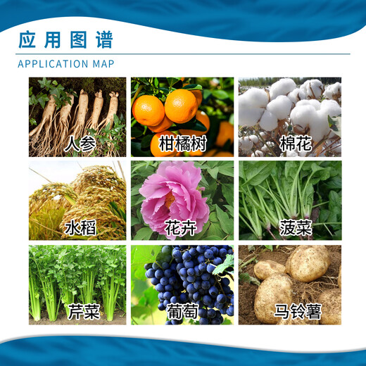 Sanliu Shanghai Tongrui 920 Sanliu 75% gibberellic acid crystal powder seed production and fruit growth regulator 1g*10 bags