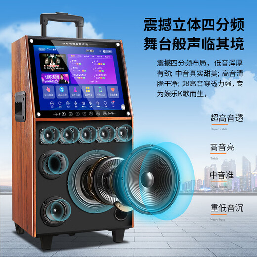 Xianfei outdoor square dance trolley audio with display home touch screen portable wifi mobile ktv trolley speaker video and song all-in-one machine 29-inch touch screen version + dual microphones