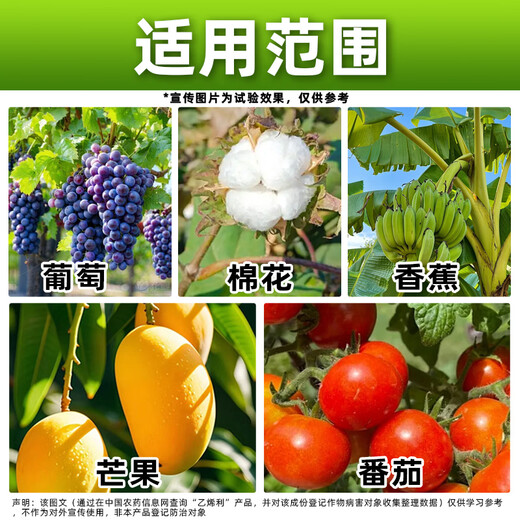 Bangsec 40% Ethephon Ripening Agent Ethili Ripening Plant Growth Regulator Cotton Special Pesticide 1kg*1 Bottle Selected Special Pack