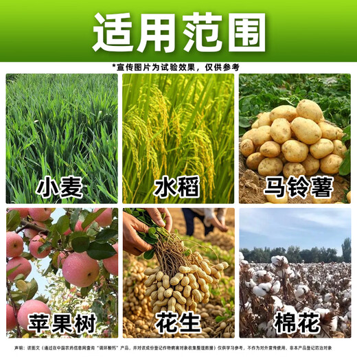 Barometer Golden Autumn 10% Prohexadione Calcium Growth Regulator Peanut Growth Regulator Genuine Pesticide Peanut Special Agent 100g*50 bottles Whole box discount Save 20 yuan