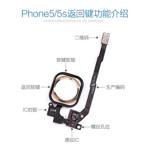 Fanrui is suitable for Apple iphone5 middle button 5home button 5shome fingerprint recognition 5s return cable 5c assembly repair and replacement 5S white [home button assembly]
