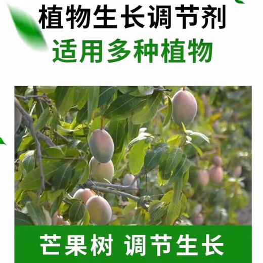 25% paclobutrazol suspension agent for fruit trees, flowers and rice, dwarfing agent, control growth regulator, 1000g*12 bottles