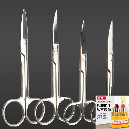 Stainless steel scissors surgery 14CM elbow 16CM straight tip ophthalmic gauze double eyelid stickers beauty eyebrow trimming nose hair scissors 8.8CM curved tip scissors 1 pair
