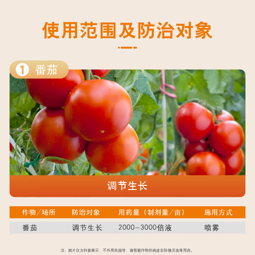 Guoguang Chongfeng 0.7% sodium nitrophenolate aqueous agent induces stress resistance, regulates yield, and increases early flowering tomato official authentic product 5L*1 barrel