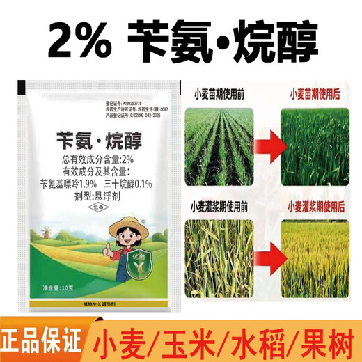Benzylamine purine triacontanol plant growth regulator wheat corn rice fruit and vegetable growth regulator 2% benzylamine alkanol 500g * 2 bottles