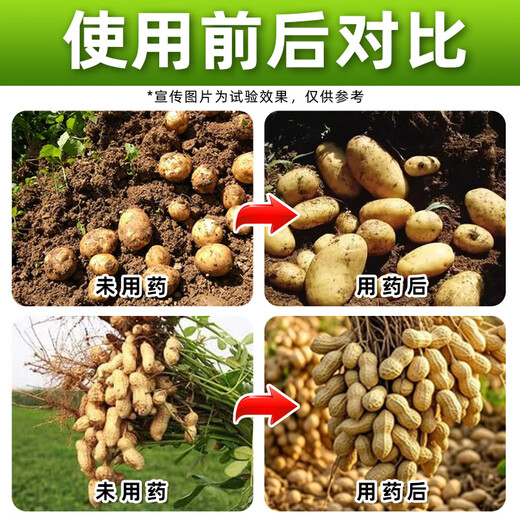 Shuofang 60% Choline Chloride Plant Growth Regulator Peanut Potato Growth Regulator Agricultural Genuine Medicine 100g*50 bottles It is more cost-effective to buy the whole box