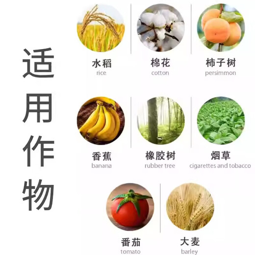 40% ethephon rubber tree rice mango banana fruit ripening agent genuine pesticide plant growth regulator 100g