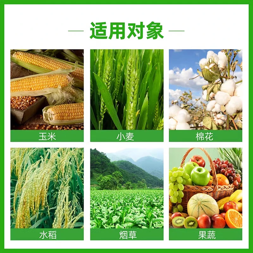 24 Epirutina gibberellic acid rooting and seedling strengthening regulator to alleviate phytotoxicity and adjust crop growth dual compound pesticide 500g*20 bottles