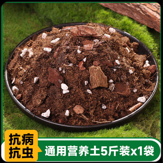 Nutrient soil planting live soil formula type peat soil universal nutritious soil gardening nutritious soil flower planting soil 1.0 perlite version one bag of soil (5Jin Jin is equal to 0.5 kg, about 12 liters)