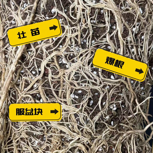 Nutrient soil planting live soil formula type peat soil universal nutritious soil gardening nutritious soil flower planting soil 1.0 perlite version one bag of soil (5Jin Jin is equal to 0.5 kg, about 12 liters)