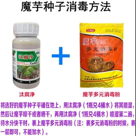 Konjac multi-functional disinfectant powder seed Konjac Lingtaifujing soil disinfectant Konjac planting disease-resistant foliar fertilizer 5Jin Jin is equal to 0.5kg Konjac disinfectant powder + 1 bottle of Tifujing + free 5 bags of konjac enlarging factor