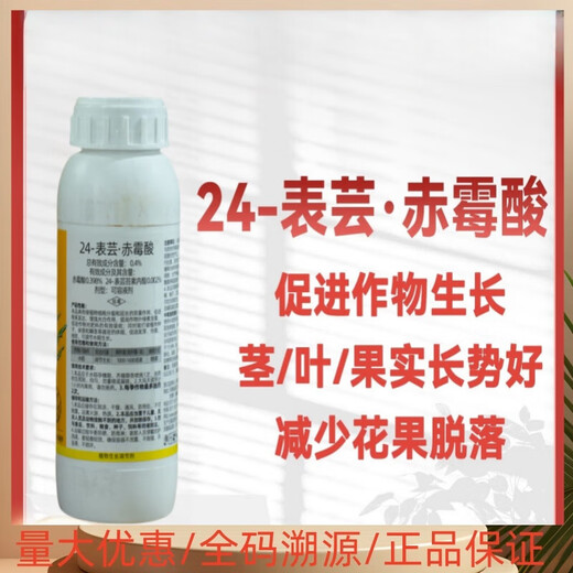 24 Epirutina gibberellic acid rooting and seedling strengthening regulator to alleviate phytotoxicity and adjust crop growth dual compound pesticide 500g*20 bottles