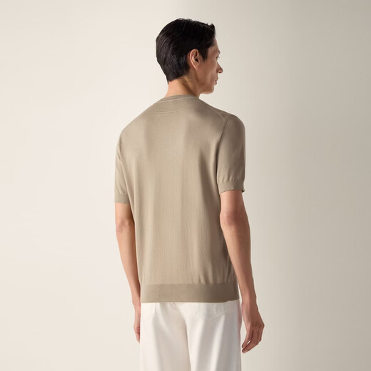 Zegna men's spring new light taupe Premium Cotton cotton T-shirt light taupe 54 (L/XL)