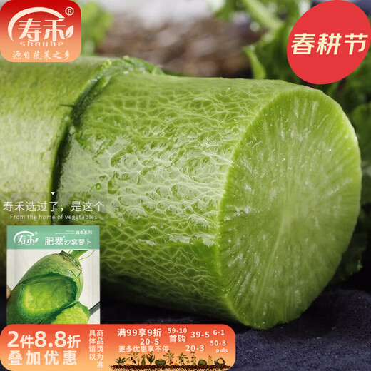 Shouhe radish seeds autumn sowing radish northern winter and spring fruit sowing vegetable seeds field planting seeds rapeseed Weifeng Feicuishawo radish seeds 20g