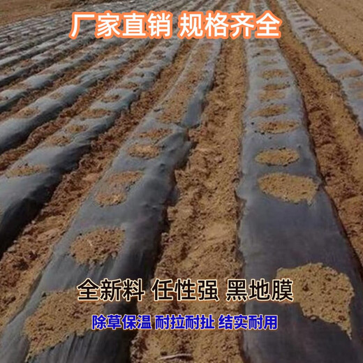 Ground black mulch plastic film for agricultural planting thickened anti-aging weeding insulation moisturizing and anti-weed greenhouse fruit tree greenhouse 11Jin Jin is equal to 0.5 kg black 1 silk thick 1.5 meters wide 300 meters long field style