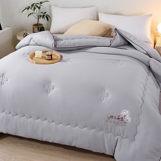 Arctic velvet quilt winter quilt core soy fiber quilt core thickened to keep warm spring and autumn quilt double quilt dormitory single four seasons cotton linen soy quilt - gray 200*230cm (thick winter quilt about 10 Jin [Jin equals 0.5 kg])