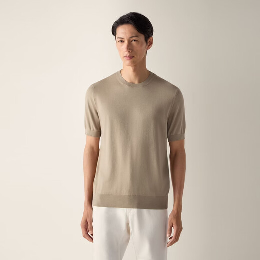 Zegna men's spring new light taupe Premium Cotton cotton T-shirt light taupe 54 (L/XL)