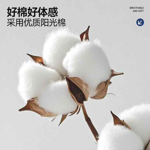 Miniso short-sleeved T-shirt men's pure cotton fake two-piece round neck half-sleeved men's birthday style Hong Kong style T-shirt top Z hemp gray M