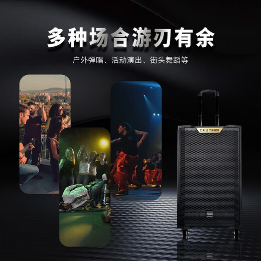 万利达（Malata）M+9866A飞天三代广场舞音响大功率重低音便携式户外k歌拉杆音箱专业舞台设备卡拉ok声卡直播一体机 M+9866A飞天三代(10吋)三分频