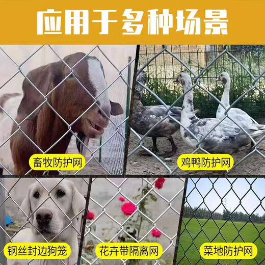 Hot-dip galvanized chain link fence is durable, breeding wire mesh, chicken, cattle and sheep fence protection net is rust-resistant and corrosion-resistant. Hot-dip galvanized chain link fence 1.2 height 2.0 thick 8 cm hole 10 meters
