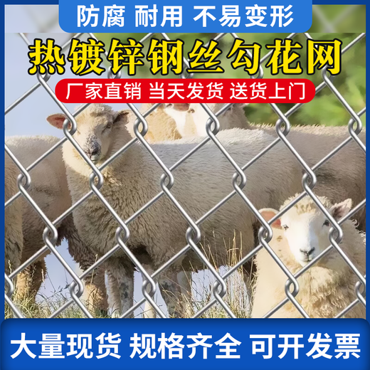 Hot-dip galvanized chain link fence is durable, breeding wire mesh, chicken, cattle and sheep fence protection net is rust-resistant and corrosion-resistant. Hot-dip galvanized chain link fence 1.2 height 2.0 thick 8 cm hole 10 meters