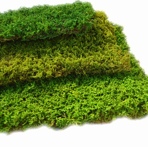 Moss gray moss dry landscape moss ball soft decoration indoor moss maintenance-free no watering green moss natural green gray moss light green 1 square meter