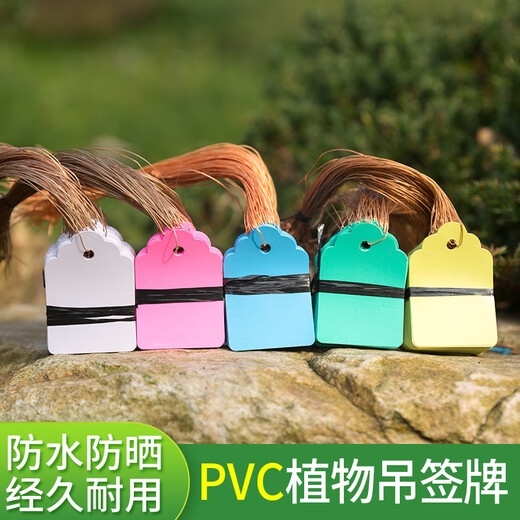 Shipton plastic experimental small tag green plant flower tag waterproof tag gardening seedling tag orchid plant tag 5*7 white 100 sheets