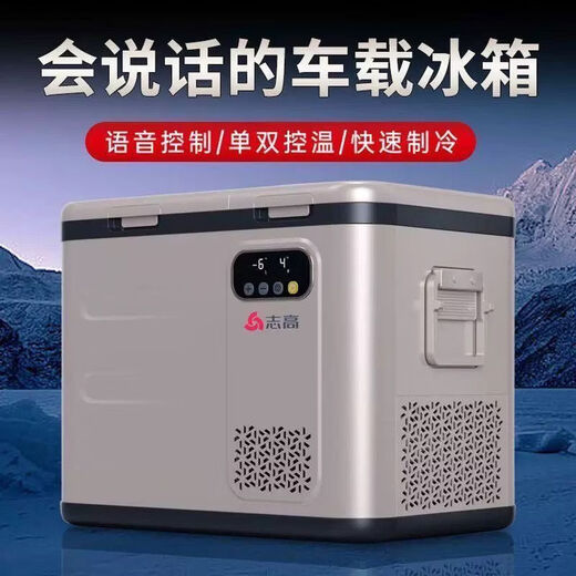 Coche pequeño refrigerador camión doble puerta refrigeración congelación rápida refrigeración control de voz coche hogar doble uso móvil A22 coche 1224V + plástico de aviación