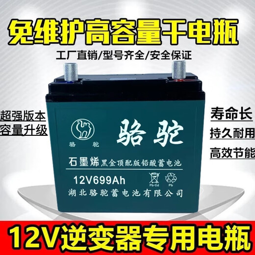Village de Shantoulin 12V20A 60A Batterie de plomb à grande capacité Alimentation Alimentation Alimentation extérieure Audio 12V Batterie de camel Nouvelle batterie 12V699A + Chargeur intelligent
