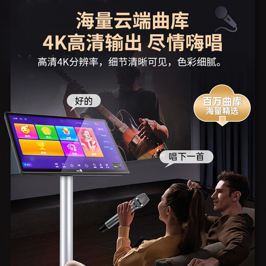 Hyundai Modernes Heimkino-Gesangsmaschine KTV Audio Set High-Power-Verstärker Karaoke Home Singing Equipment Wohnzimmer Konferenzraumkartenpaket Lautsprecher [Professionelle Version] 10-Zoll-Audio-Gesangsmaschine + 10-Zoll-Subwoofer