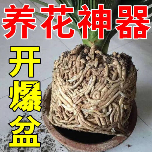 Heartbeating sound soil activator black water fertilizer universal loose soil intensive flower plant compaction loosening improved soil activation treasure loose soil essence 500*2 bags