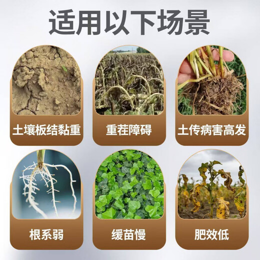 Пикап для кошек, тяжелый урожай, антивирус Немезида, израильские импортные сорта, укореняющийся кондиционер для рыхлой почвы, анти-смертельный микробный мешок 1 кг x 2