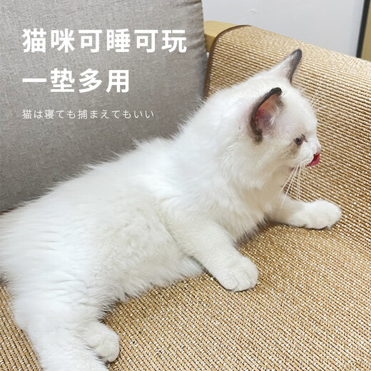 Huiyimu Anti-Cat Scratch Sofa Protector Cat Scratch Board Mat Anti-Cat Claw Protective Cover Sticker Magic Cat Scratch Resistant Wear-Resistant No Chips Leather Sofa Wall Model 50*80 Comes with Adhesive Sticker Huiyimu Anti-Cat Scratch Sofa Protector Cat Scratch Board Mat Anti-Cat Claw Protective Cover Sticker Magic Cat Scratch Resistant Wear-Resistant No Chips Leather Sofa Wall Model 50*80 Comes with Adhesive Sticker