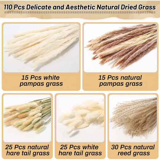 Original idea (CHUGOUXIANG) Yunnan real flower pampas grass whisk dust rabbit tail dried bouquet pampas grass HS37 with box