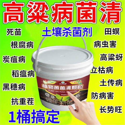 Cat sorghum field anti-heavy cropping soil-borne disease agent is sprayed directly to condition the soil to resist heavy stubble and solve root rot. Sorghum soil agent_sorghum field anti-heavy cropping 2 barrels