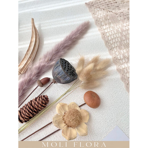 Jatu Dace dried flowers and branches diy material bouquet lotus reed cotton pine cones real flowers air-dried living room decoration flower arrangement 1 piece of cotton dried flower bag