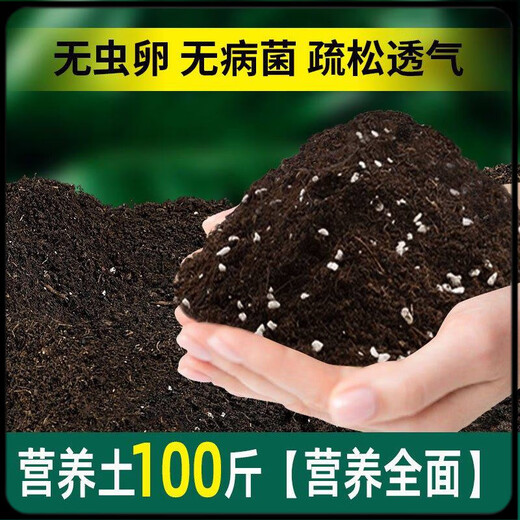 Universal nutrient soil 100 Jin Jin is equal to 0.5 kg Nutrient soil special potted plant for growing flowers and vegetables Universal loose and breathable soil family Refined 100 Jin Jin is equal to 0.5 kg (Special for flower cultivation) Jiangsu, Zhejiang, Shanghai, Anhui and Guangdong regions Chi Jin shot Ming Fa