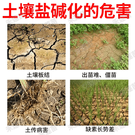 Pick-up cat saline-alkali land soil conditioner, salt-alkali resistance special fertilizer, hardening special conditioner, loosening and activation effective, no more saline-alkali land 2 bags, adjust salt-alkali, break hardening