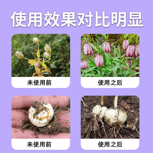 Yonghuan Fengzetong Fritillaria special soil conditioning rooting, strong seedlings and dead trees control soil-borne root rot disease 10 bags get 2 bags free (get 12 bags)