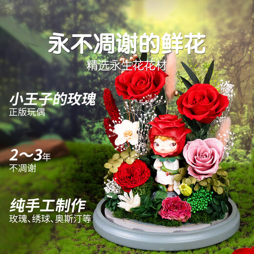 The Little Prince's eternal flower, the little wild rose, the real flower, the high-end gift box, the newlywed gift for the girlfriend and wife's birthday, the genuine Little Prince glass cover - the rose gives the atmosphere light