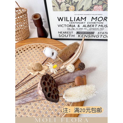 Jatu Dace dried flowers and branches diy material bouquet lotus reed cotton pine cones real flowers air-dried living room decoration flower arrangement 1 piece of cotton dried flower bag