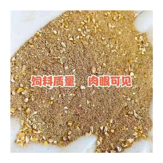 Directly sold by the pick-up cat manufacturer, 100 Jin Jin is equal to 0.5 kg. High-protein chicken, duck and goose feed, corn and wheat bran for fattening and laying eggs. Give back to fans (one day). 100 Jin Jin is equal to 0.5 kg (active)