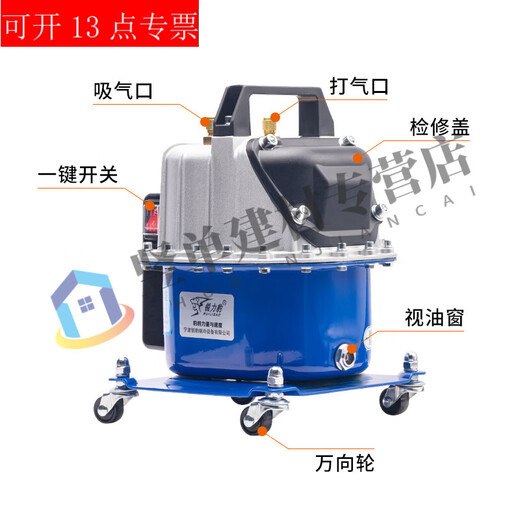 TNBROTHERS car air conditioner pump dual-purpose vacuum pump refrigerator repair tool tire inflator refrigerant filling adjustable motor 750 single machine + luxury silicone oil double meter 20% people use