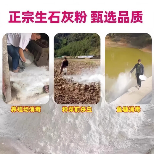 Jingxi Special quicklime powder for vegetables. Soil pest control in vegetable fields to improve soil height. Quicklime powder. After spreading quicklime powder without insects, 1 Jin Jin is equal to 0.5 kilograms.