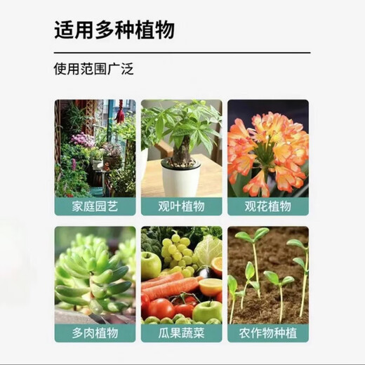 Guzhi Soil Activator Compacted Plant Rooting Vegetable Black Water Fertilizer Loose Flower Improvement Universal G 2 Boxes Free Essential for Home Gardening Affordable Pack