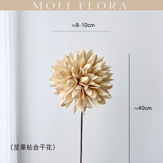 Jatu Dace dried flowers and branches diy material bouquet lotus reed cotton pine cones real flowers air-dried living room decoration flower arrangement 1 piece of cotton dried flower bag