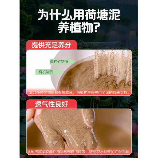Lotus pond mud, special lotus soil for lotus cultivation, copper money grass, water lily, aquatic plant nutrition soil, general vegetable planting, finely screened/sterile, high-quality lotus pond mud 5Jin Jin is equal to 0.5kg