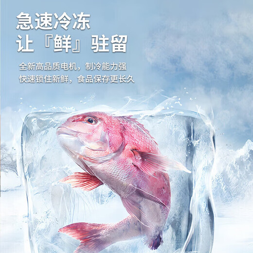 Chigo double-door refrigerator small rental dormitory double-door refrigeration and freezing first-class energy efficiency household large-capacity office refrigerator two-door micro-frost first-class energy efficiency 58L silver high-efficiency fresh-keeping copper tube rapid cooling