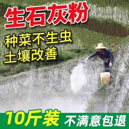 Jingxi Special quicklime powder for vegetables. Soil pest control in vegetable fields to improve soil height. Quicklime powder. After spreading quicklime powder without insects, 1 Jin Jin is equal to 0.5 kilograms.